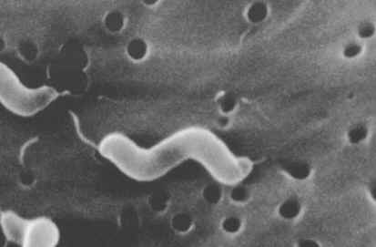 altek2b.jpg (34664 bytes)