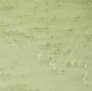 Enterococcus faecalis colonies are translucent and small