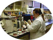 Clinical Microbiology